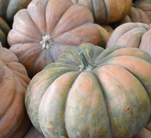 Fairytale Pumpkin