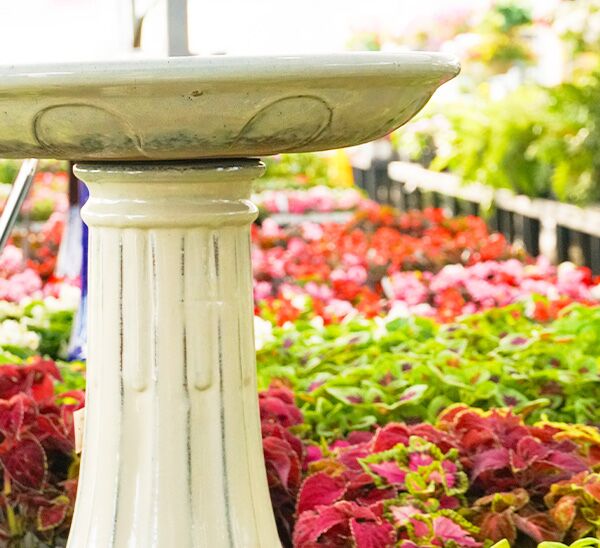 Birdbaths