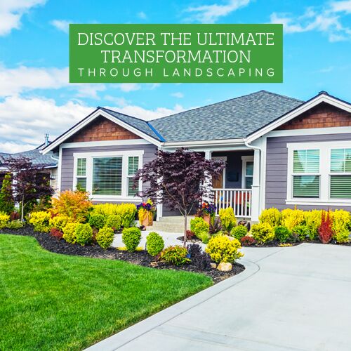 landscaping