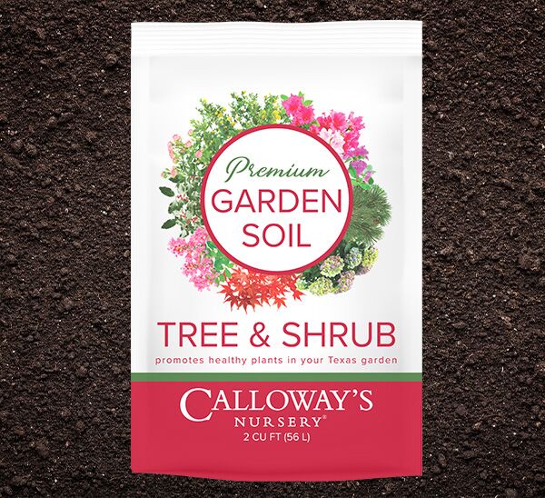 Ornamental Tree Pick & Plant Package