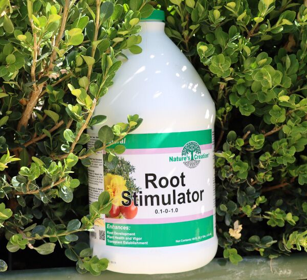 Ornamental Tree Pick & Plant Package