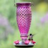 Perky-Pet® Diamond Wine Top-Fill Glass Hummingbird Feeder Photo 1