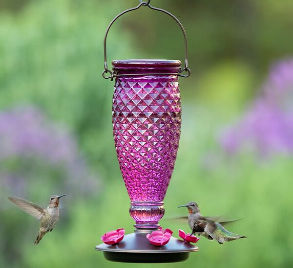 Birds feeding from Perky-Pet® Diamond Wine Top-Fill Glass Hummingbird Feeder