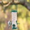 Perky-Pet® Green 2-In-1 Tube Bird Feeder Photo 1