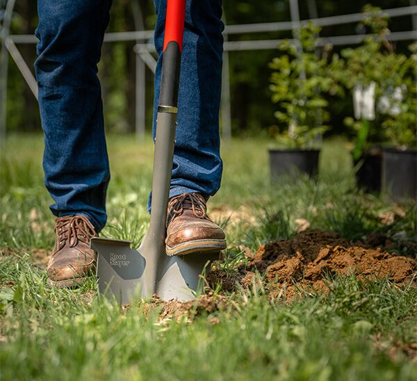 Radius Root Slayer Round Point Shovel