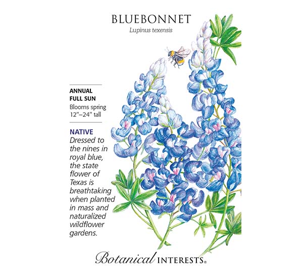 Texas Bluebonnet Seeds Photo 1