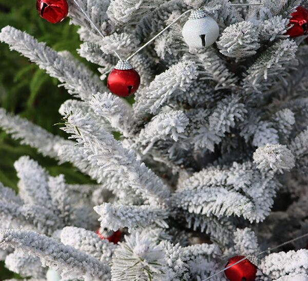 Fresh Cut Flocked Fraser Fir Christmas Tree