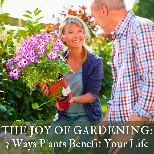 Benefits of Gardening | Calloway’s Nursery