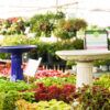 Birdbaths Photo 1