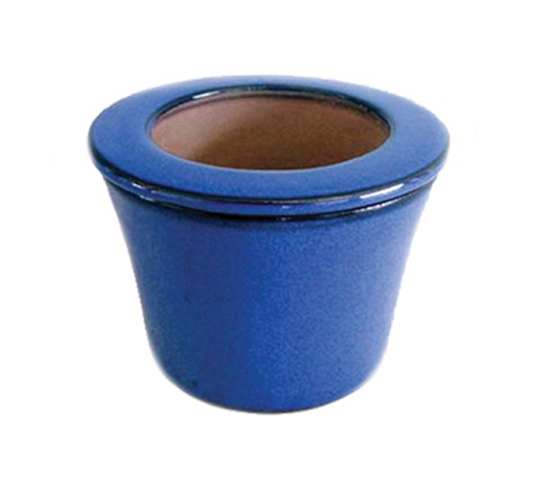 Self Watering Pot
