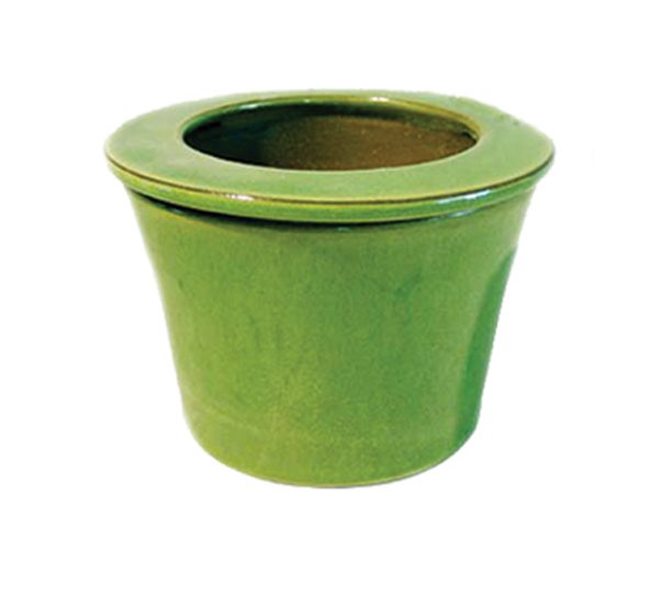Self Watering Pot