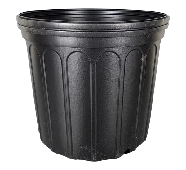 nursery pot 3gl