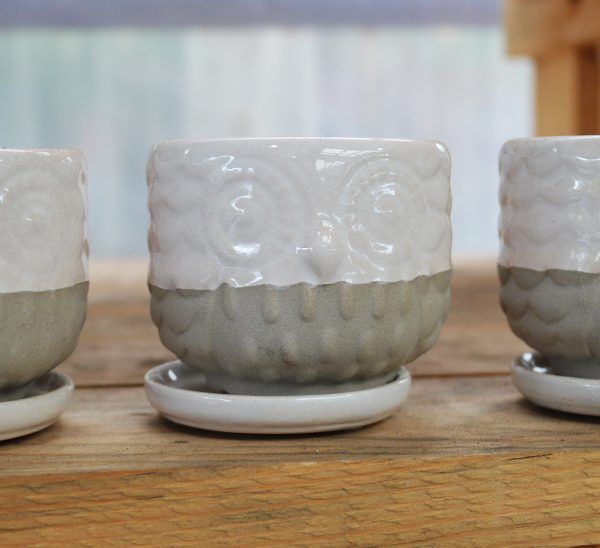 owl planter