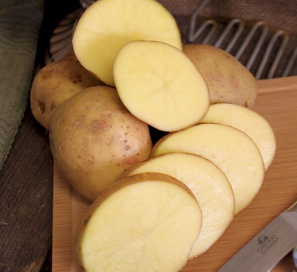 Seed Potatoes