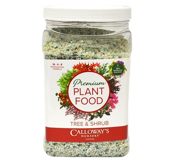 plant food tree and shrub