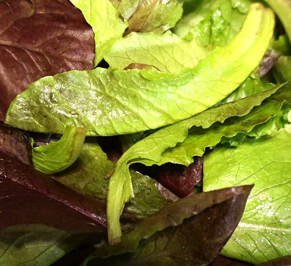 lettuce trio