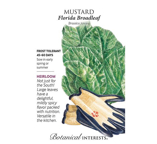 Florida Broadleaf Mustard Seeds Photo 1