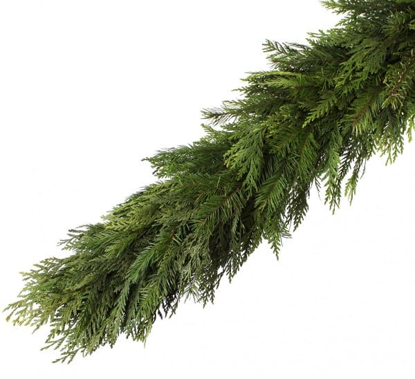 cedar douglas fir garland