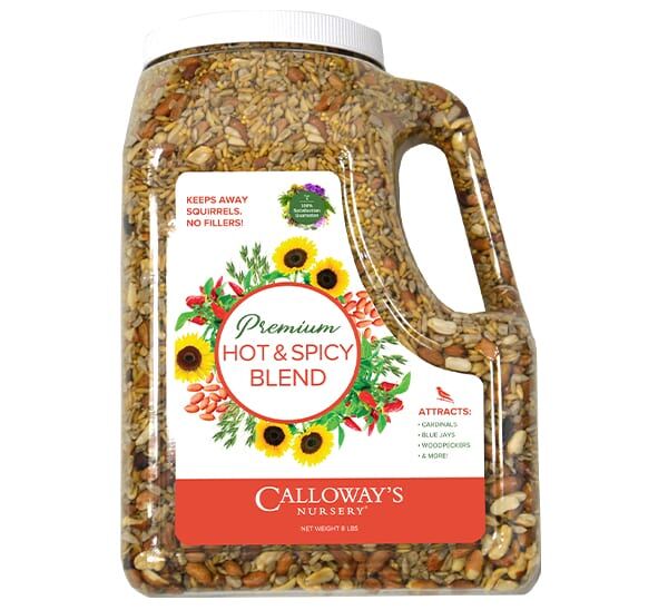 Calloway’s Premium Hot & Spicy Blend front