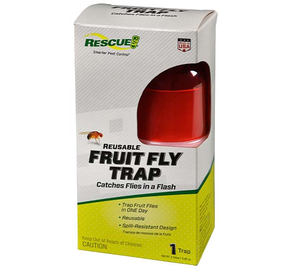 fruit fly trap