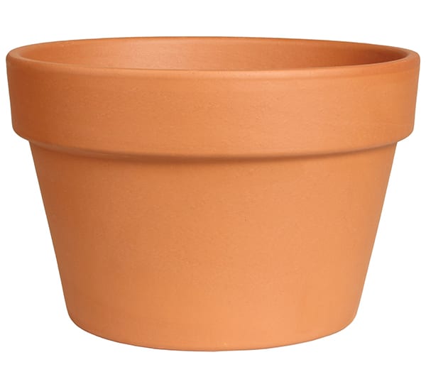 Terra Cotta Clay Azalea Pot