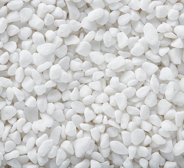 Exotic Pebbles & Glass Décor Pebbles White Bean