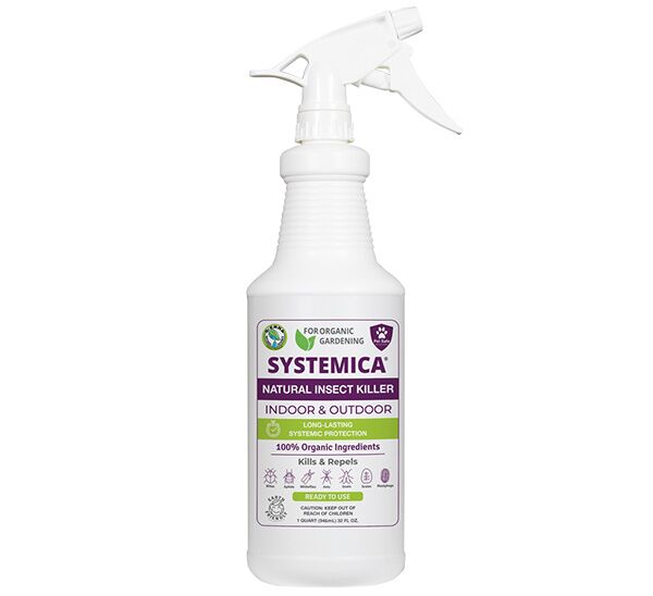 Systemica Insect Killer - Ready-to-spray Bottle