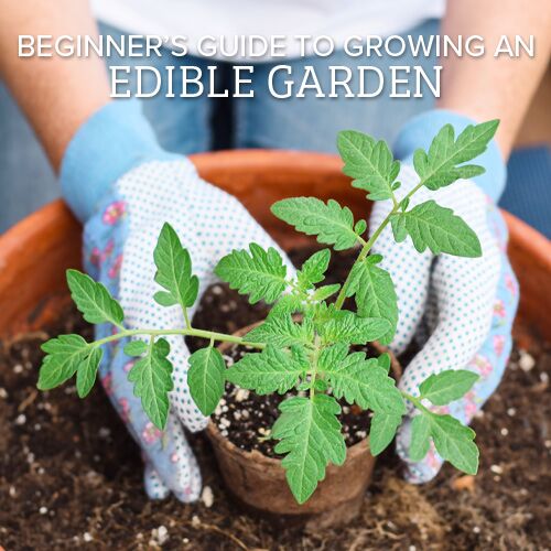 edible gardening