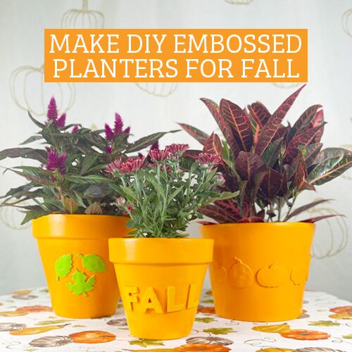 autumn planter ideas