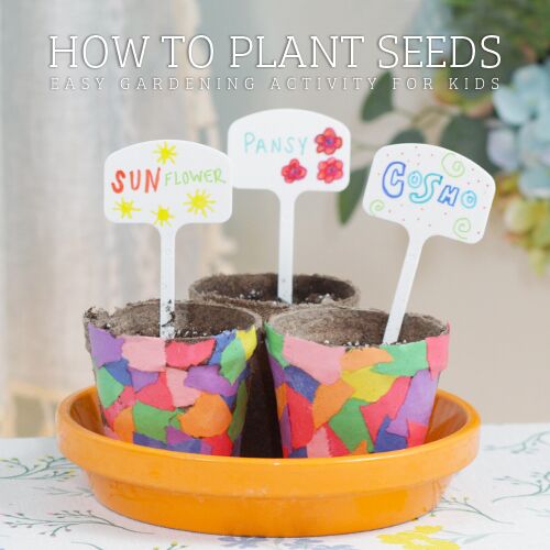 Kids gardening projects