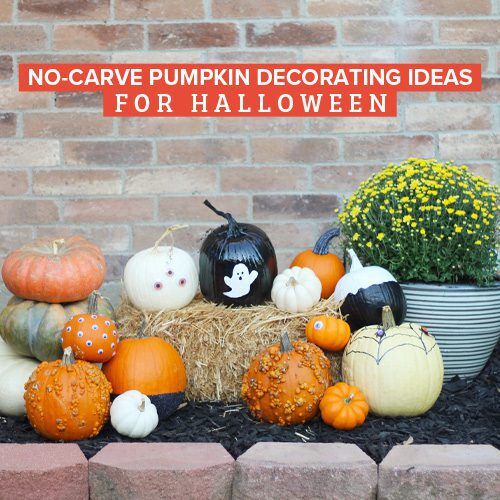 No-Carve Pumpkin Decorating Ideas for Halloween | Calloway's Nursery