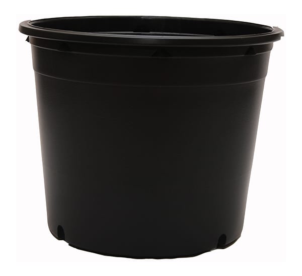 Nursery Pot