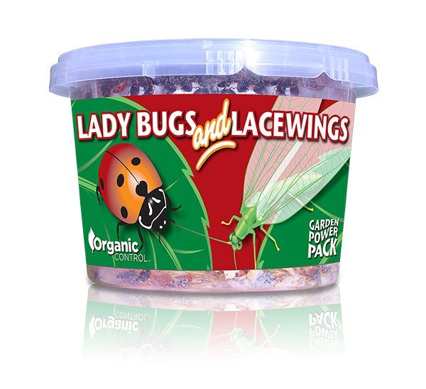 Organic Control Inc Lady Bugs and Lacewings