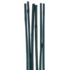 D&D Bamboo Stakes Photo 1