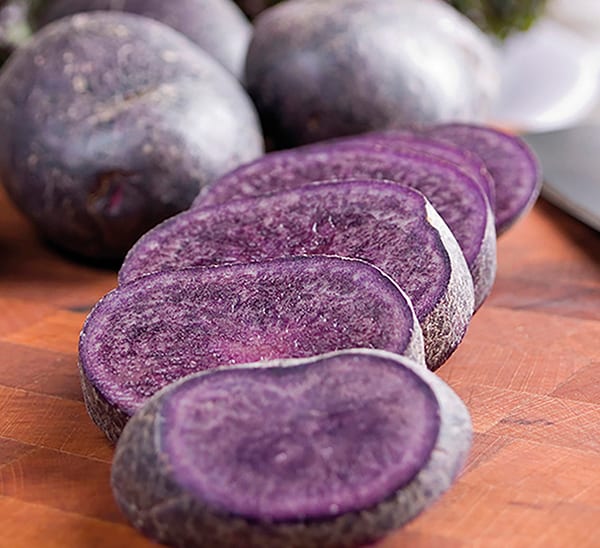 Adironack Blue Potato