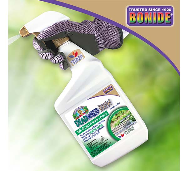 Captain Jack’s™ DeadWeed Brew