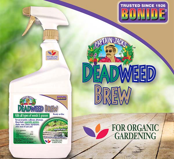 Captain Jack’s™ DeadWeed Brew