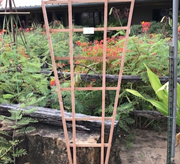 72in Cedar Trellis Double Leg