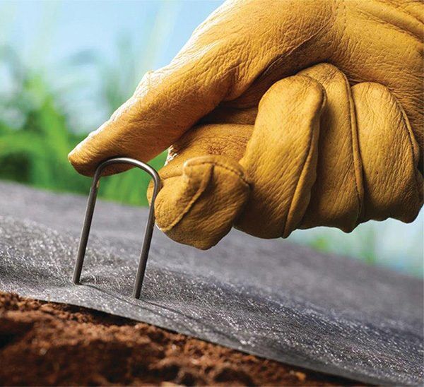 DeWitt Anchoring Pins