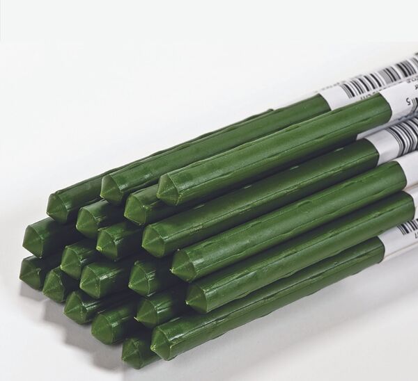 D&D Sturdy Stakes® Photo 1