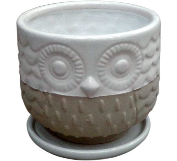 Owl Planter