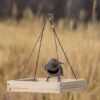 Perky-Pet® Hanging Tray Bird Feeder Photo 1
