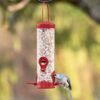 Perky-Pet® Red 2-In-1 Tube Bird Feeder Photo 1
