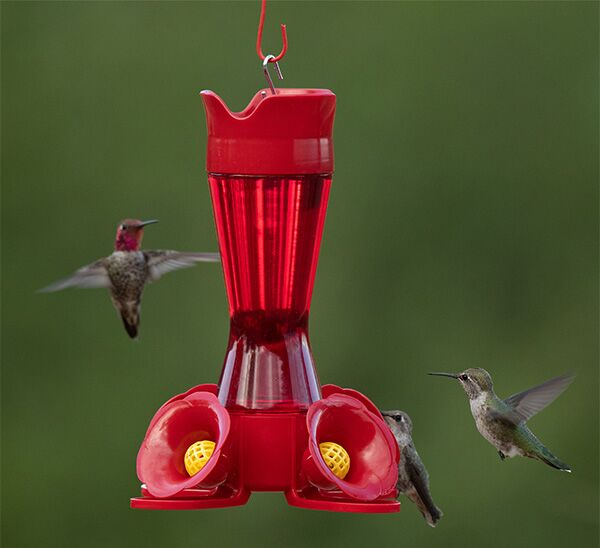 Birds flying towards Perky-Pet® Red Pinch Waist Plastic Hummingbird Feeder