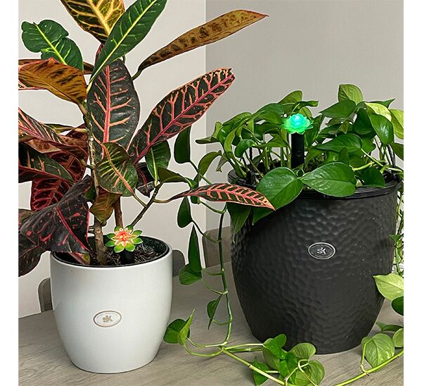 The Award-Winning Plant Alarm Moisture Sensor