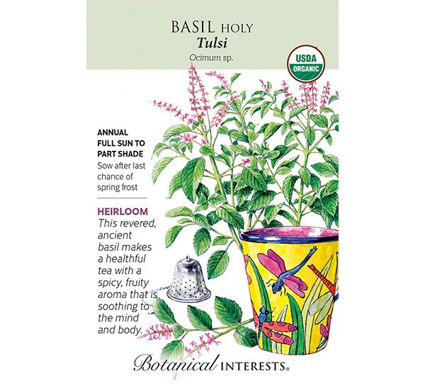 Tulsi Holy Basil Seeds Photo 1