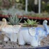 Elephant Planter Photo 1