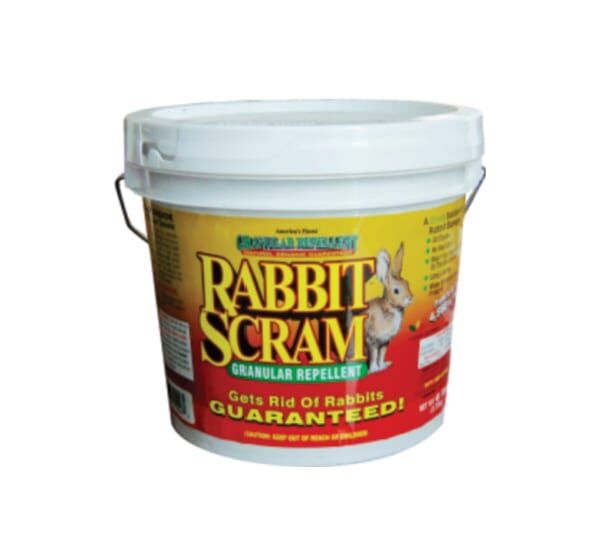 Rabbit Scram™