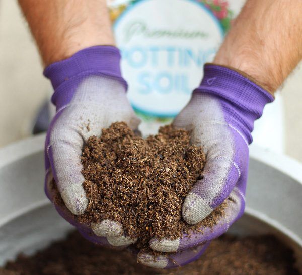 Clwy's Premium Container Potting Soil