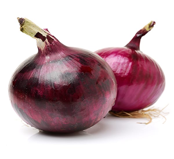 southern belle red onion full grown red bulbs on white background